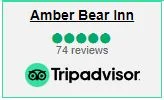 Tripadvisor Reviews